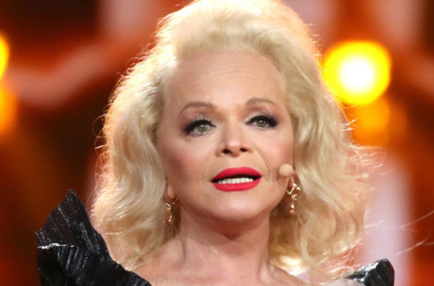 «Даже у первоклассниц юбки длиннее»: 67-летняя Долина ошарашила всех своим мини